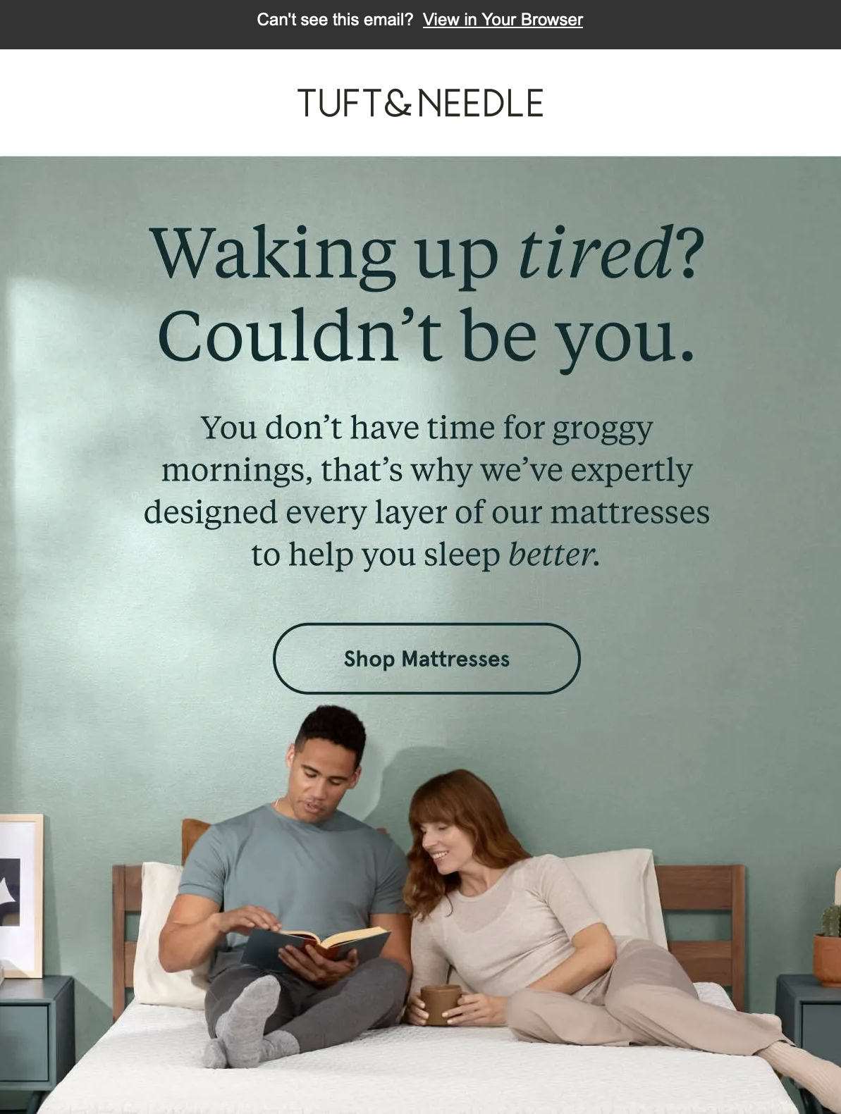 Promotional Email
